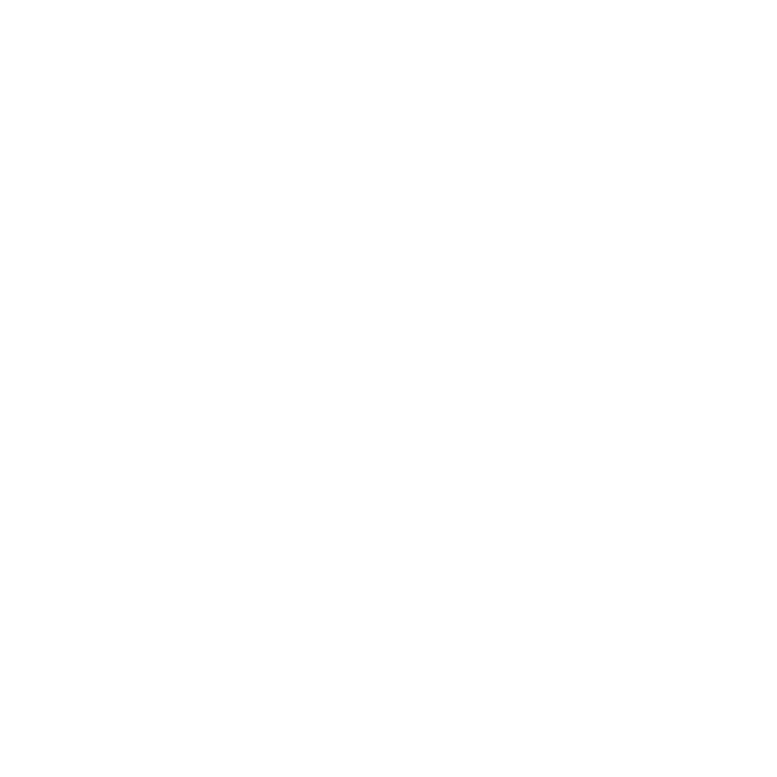 Next Vision Events Logo